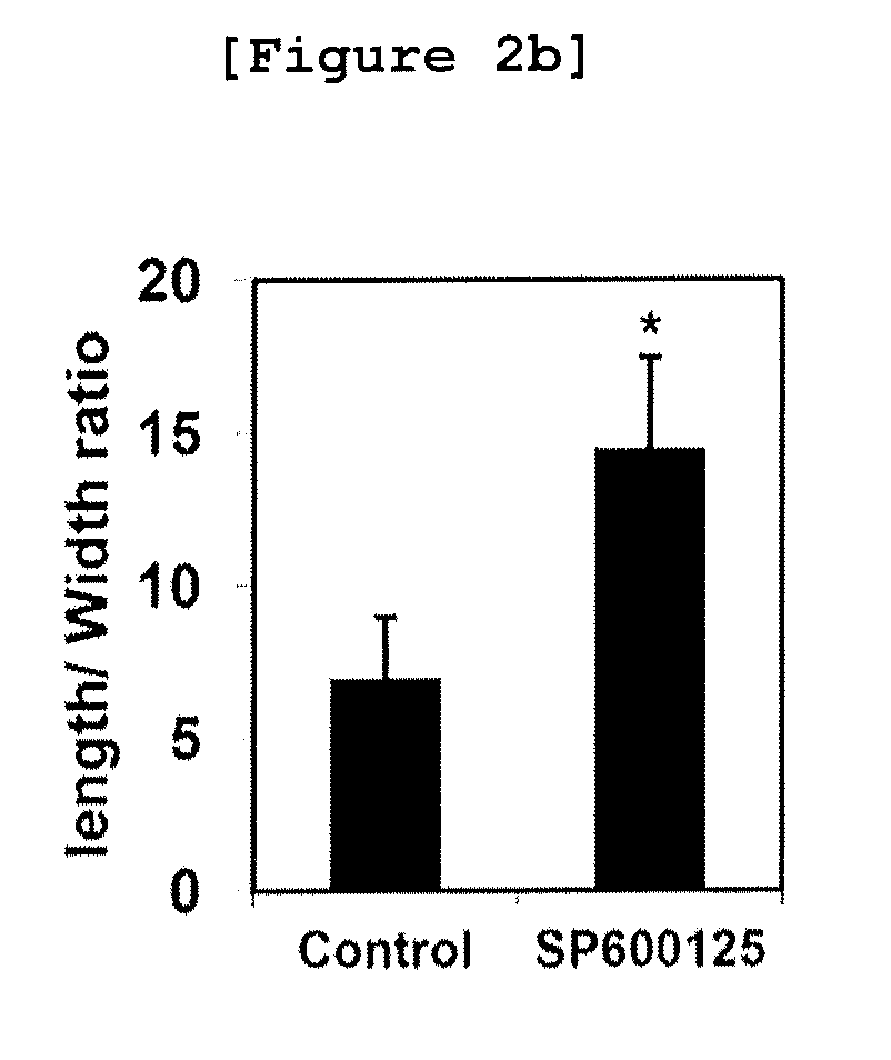Method for monitoring metastasis of cancer cells using cells cultured in three dimensional collagen environment