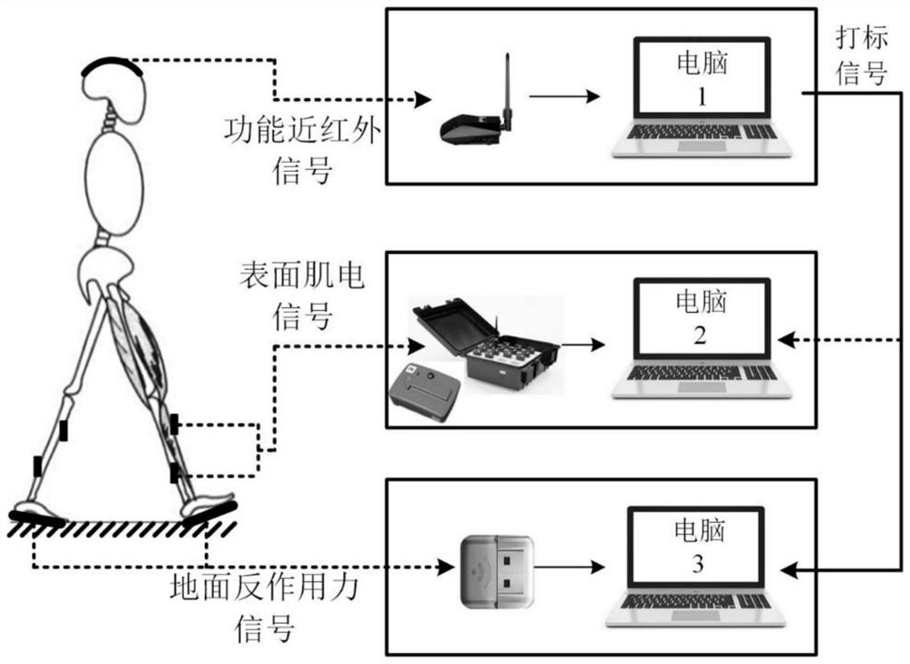 Frozen gait collecting and analyzing system and method based on multi-modal signal synchronization