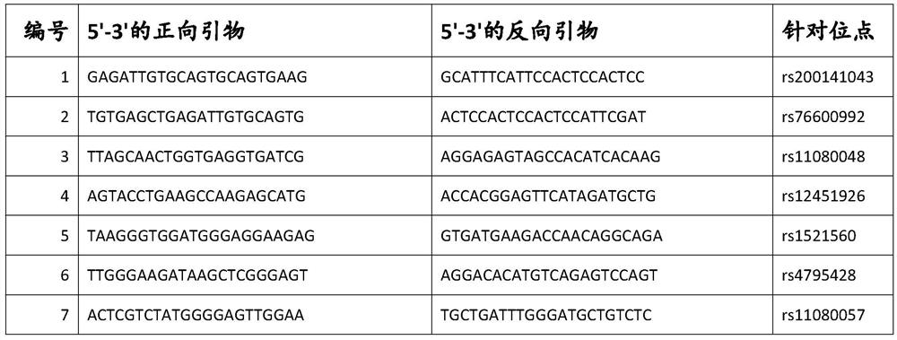 Primer compositions, products and methods for detecting embryos carrying at-risk chromosomes