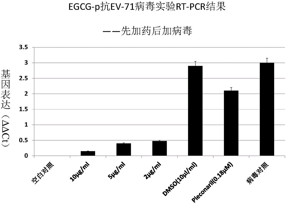 Application of EGCG palmitate in preparing medicines for treating or preventing human enterovirus 71 infection