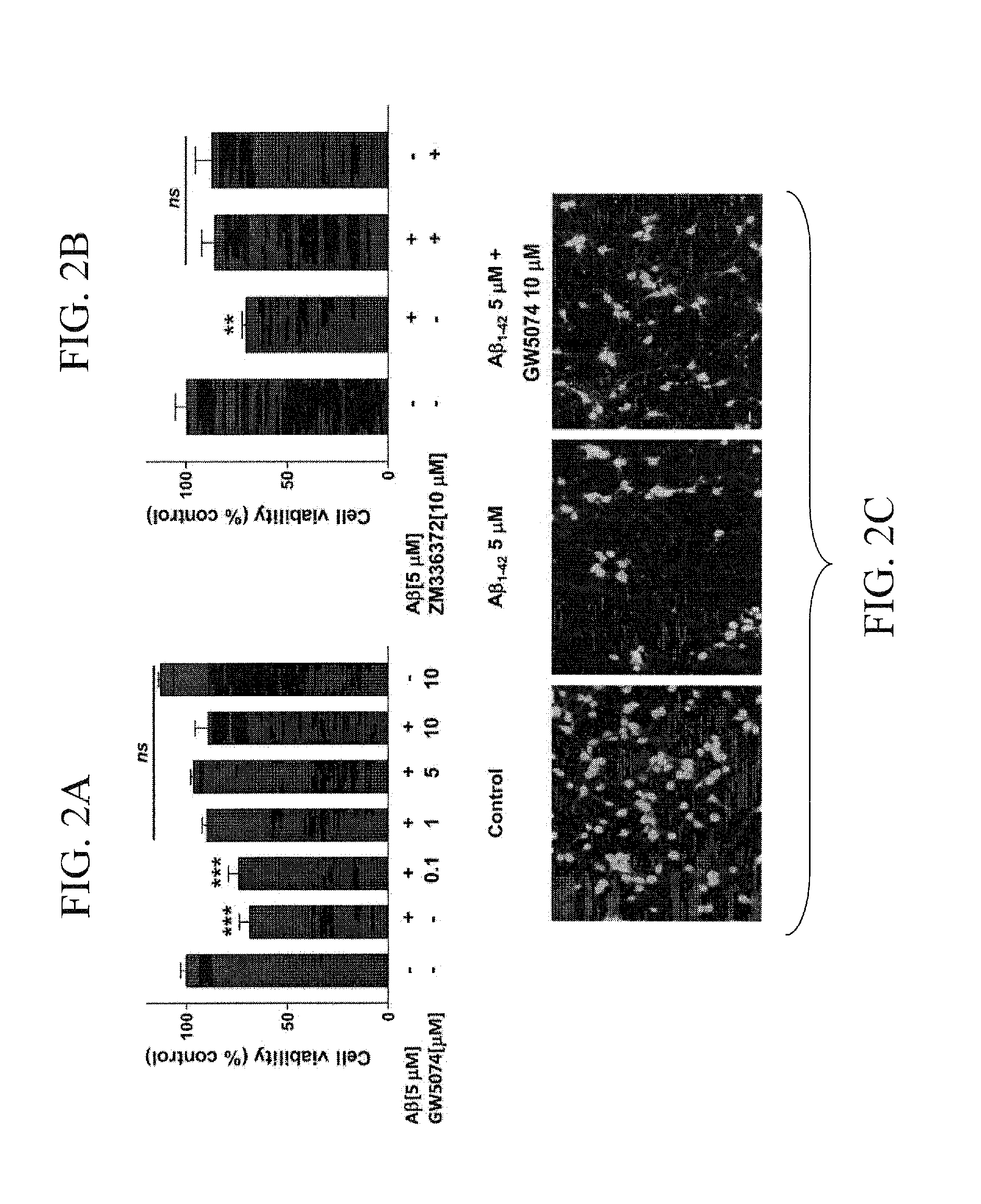 Materials and methods for preventing or treating neurodegenerative conditions associated with abeta peptide accumulation