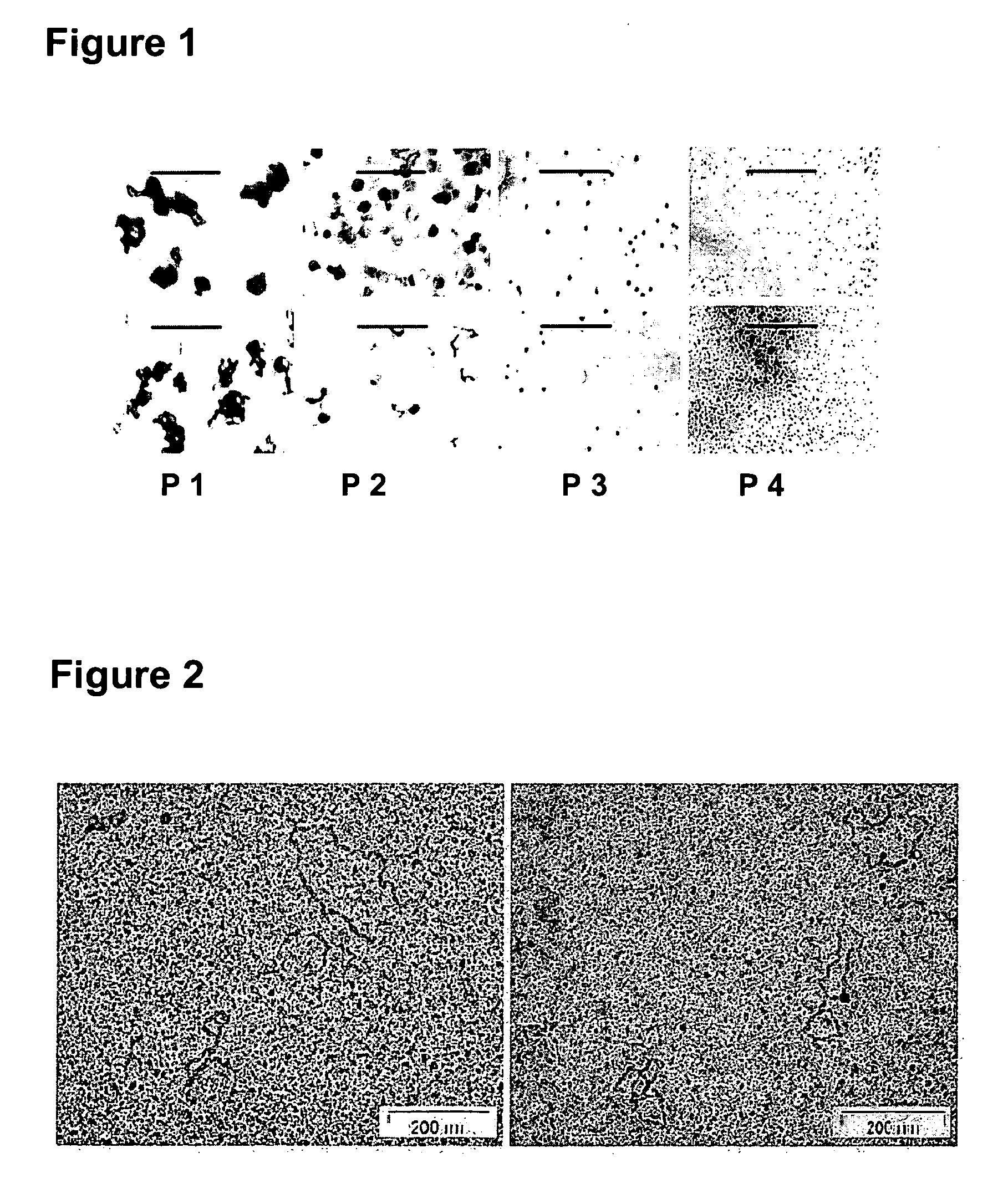 Method for ex-vivo separation of apoptotic chromatin fragments from blood or plasma for prevention and treatment of diverse human diseases