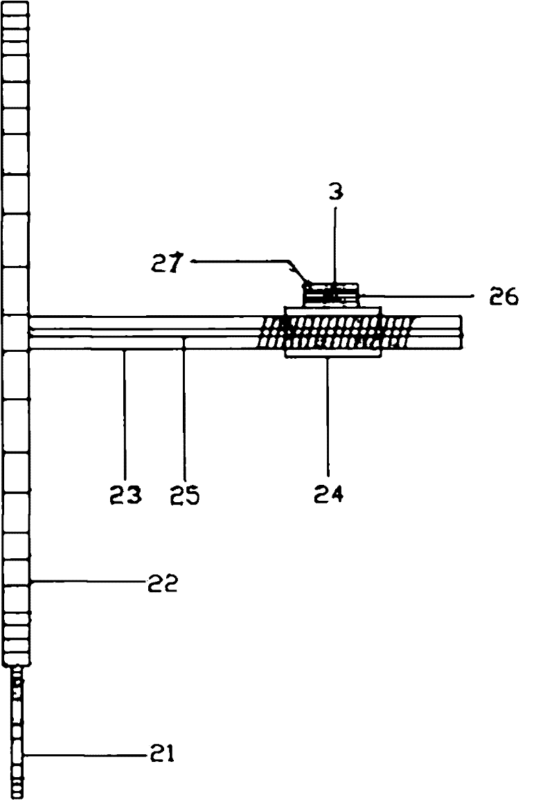 Method and device for real-time observation of cells in incubator based on optical fiber image transmission