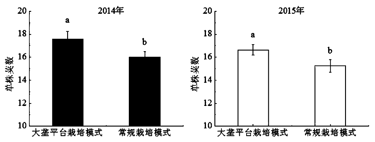 A method for cultivating kidney beans on a large ridge platform