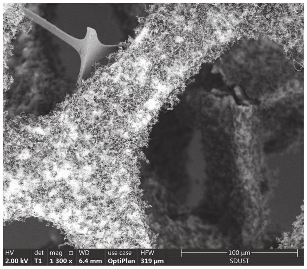 Preparation and application of NiO/C composite electrode material taking foamed nickel sheet as substrate