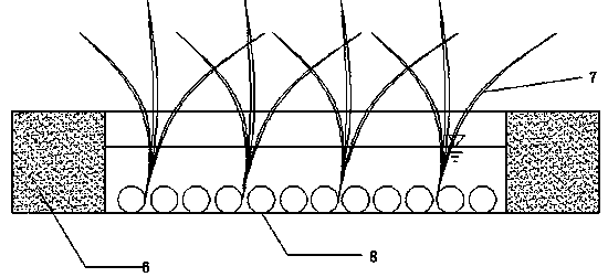 A cage-type nearshore wetland construction method for hard revetment channels