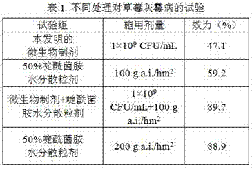 Microbial agent and application thereof