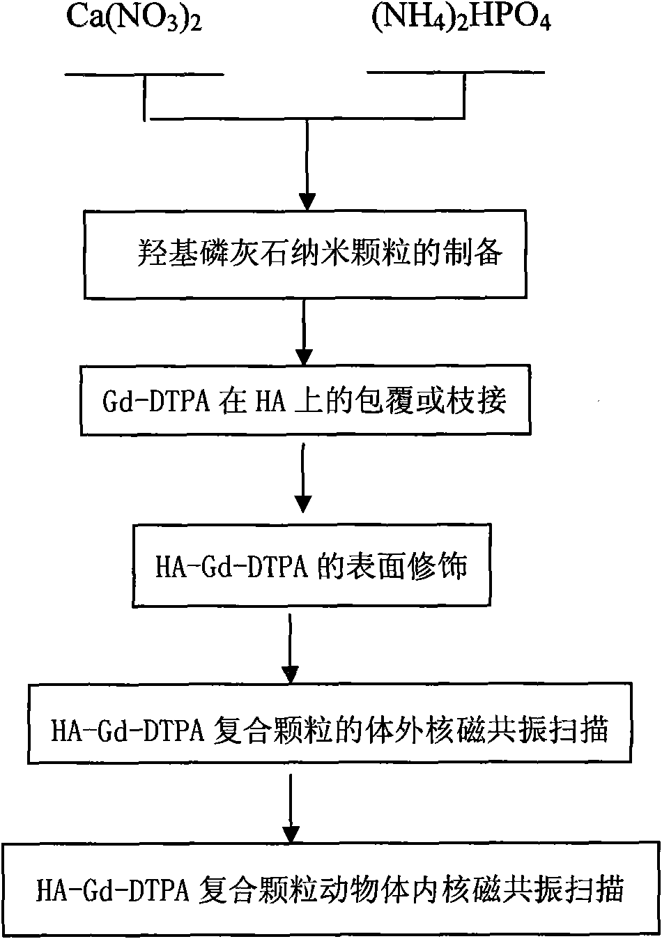 Liver, spleen specific positive magnetic nuclear resonance contrast agent and method of preparing the same