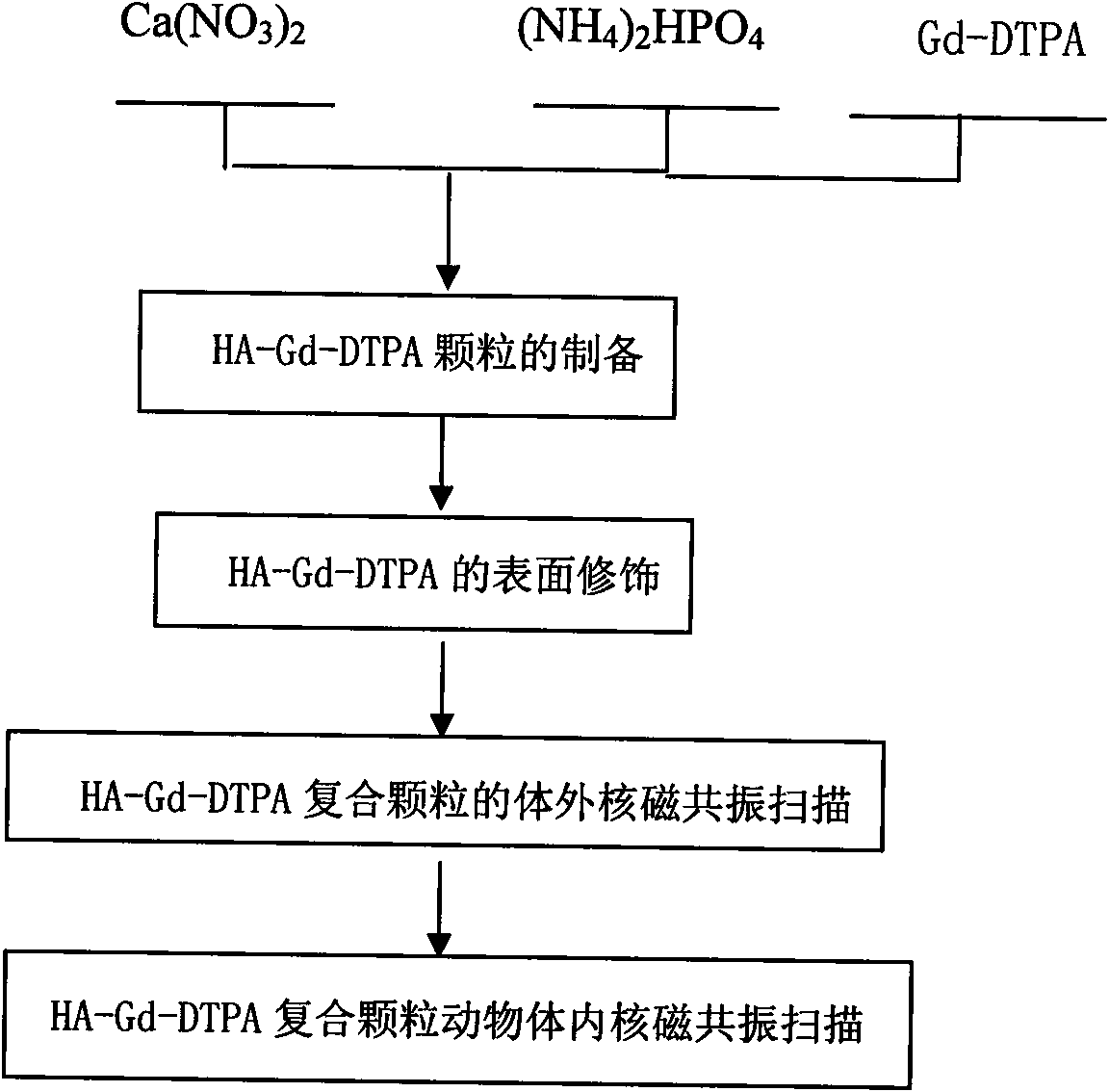 Liver, spleen specific positive magnetic nuclear resonance contrast agent and method of preparing the same