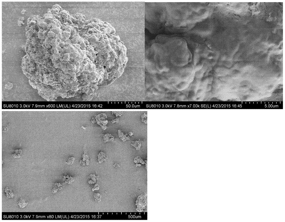 A kind of probiotic microcapsule and preparation method thereof