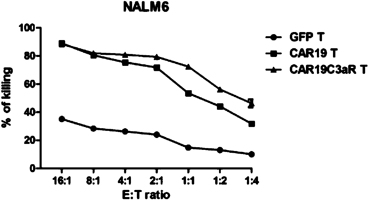 Chimeric antigen receptor comprising C3aR intracellular structural domain, lentiviral vector, expression cell and drug