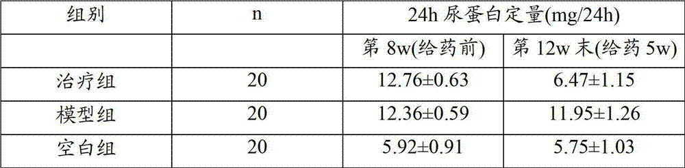 Traditional Chinese medicine composition for curing nephritis of Schonlein-Henoch purpura and preparation method thereof