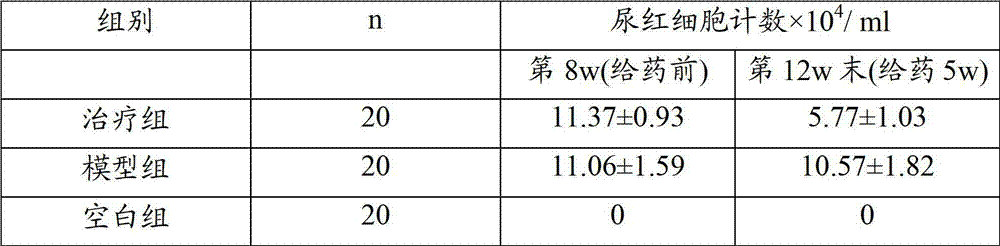 Traditional Chinese medicine composition for curing nephritis of Schonlein-Henoch purpura and preparation method thereof