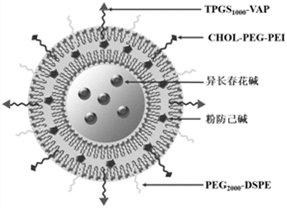 A kind of multifunctional targeting isovinblastine liposome and preparation method thereof