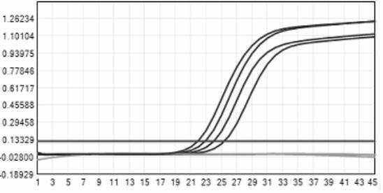 Method for quickly detecting cryptococcus gatticus