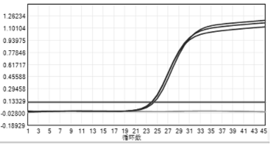 Method for quickly detecting cryptococcus gatticus