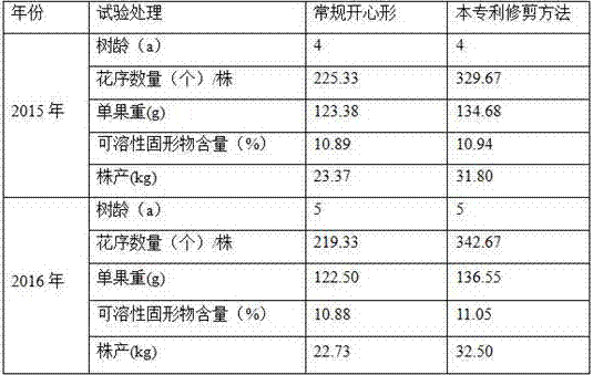 High-photosynthetic-efficiency, light-and-sample syzygium-samarangense shaping pruning method