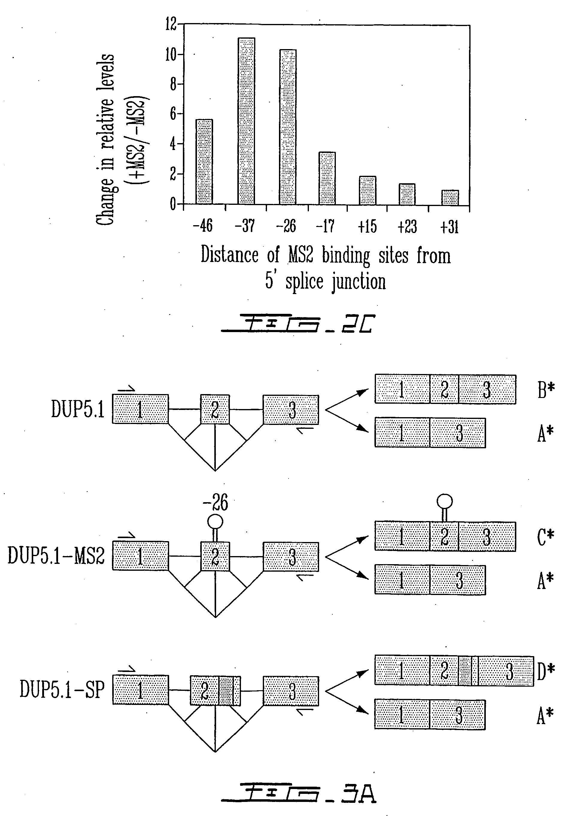 Methods to reprogram splice site selection in pre-messenger rnas