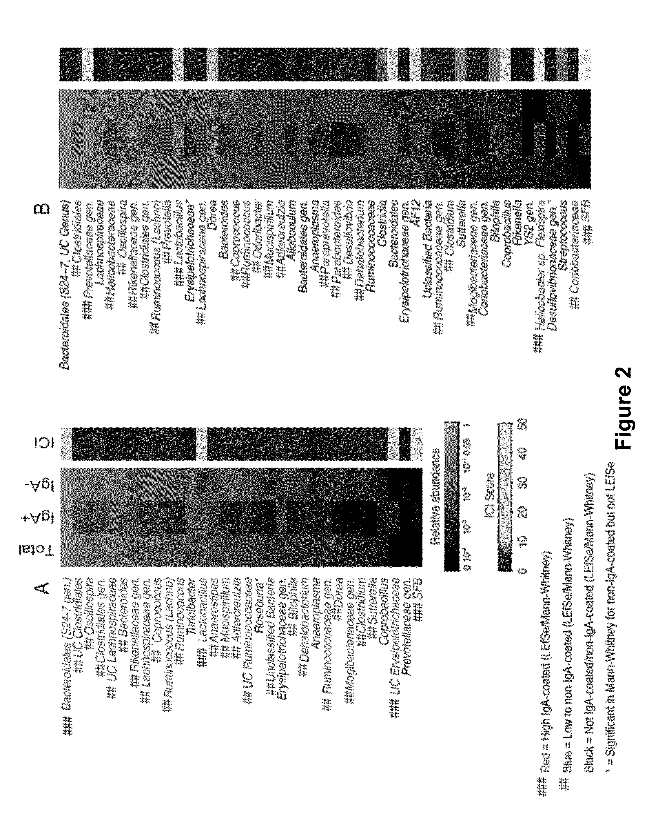 Compositions and Methods for Identifying Secretory Antibody-Bound Microbes