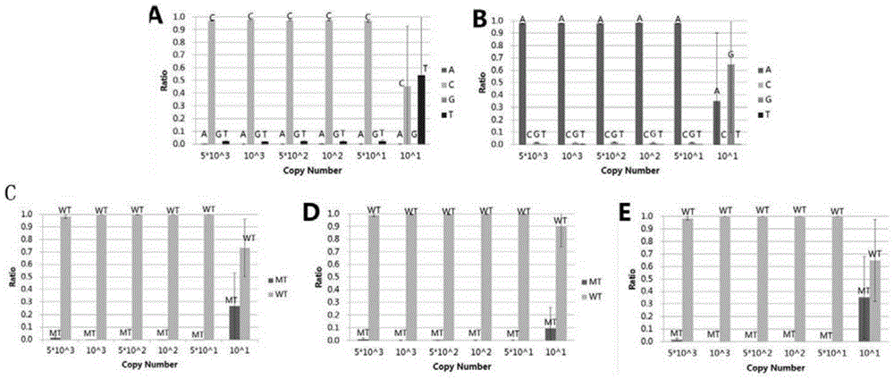 A SNP detection method based on high-throughput sequencing