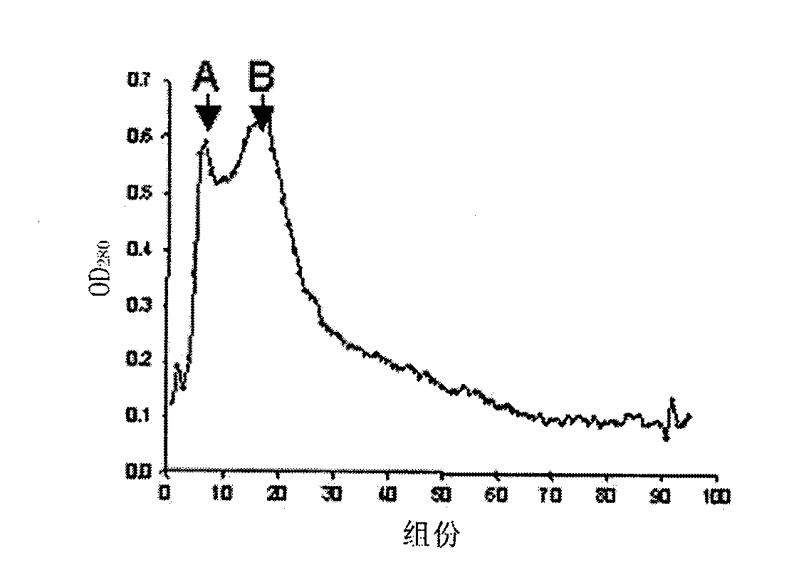 P53 fusion protein and application thereof