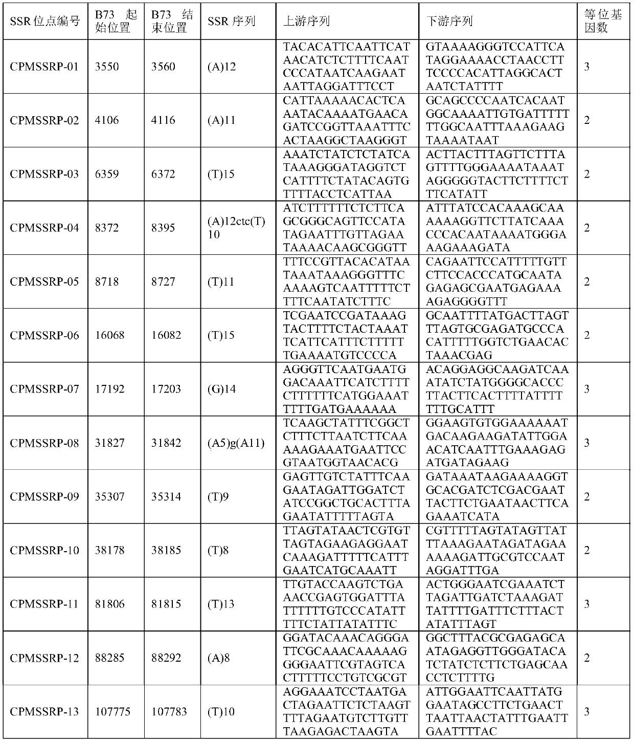 Corn chloroplast genome SSR site and application in variety identification