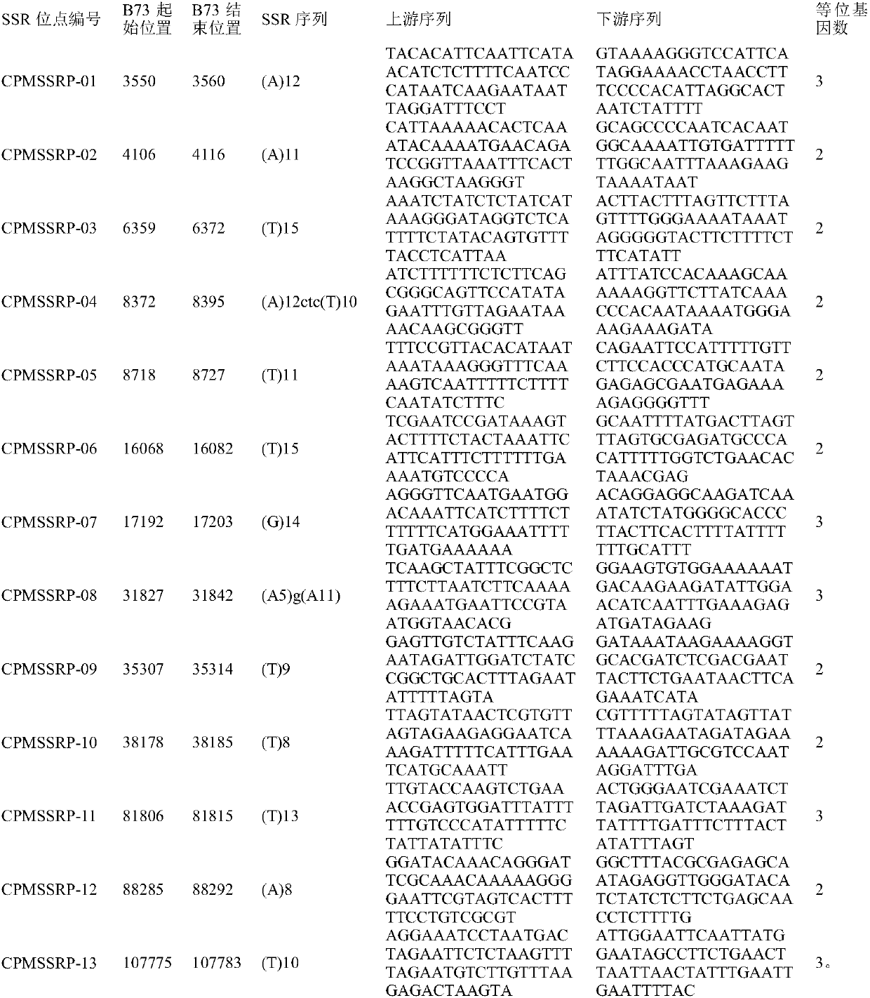 Corn chloroplast genome SSR site and application in variety identification