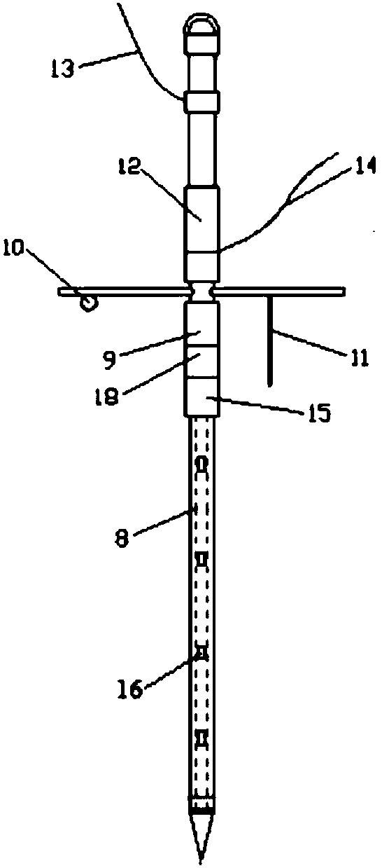Vertical freezing and sampling device and application method thereof