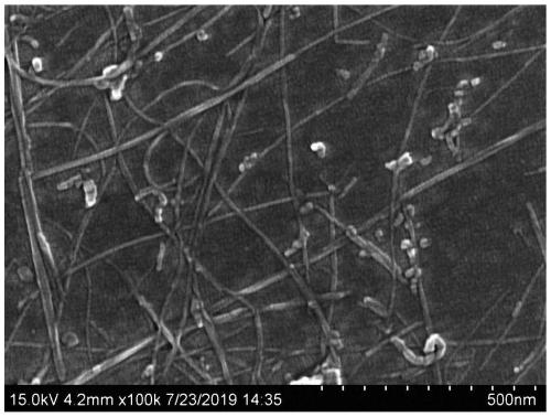 Use of novel material based on carbon nanotube and phycoerythrin