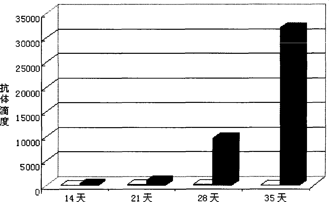 Fusion protein, encoding gene and uses thereof