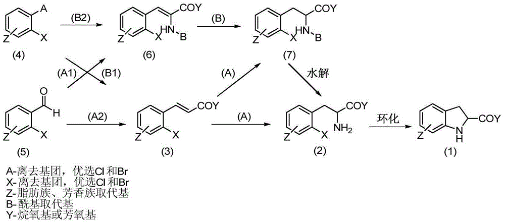 Synthesis method of enantiomer-enriched indoline-2-formic acid