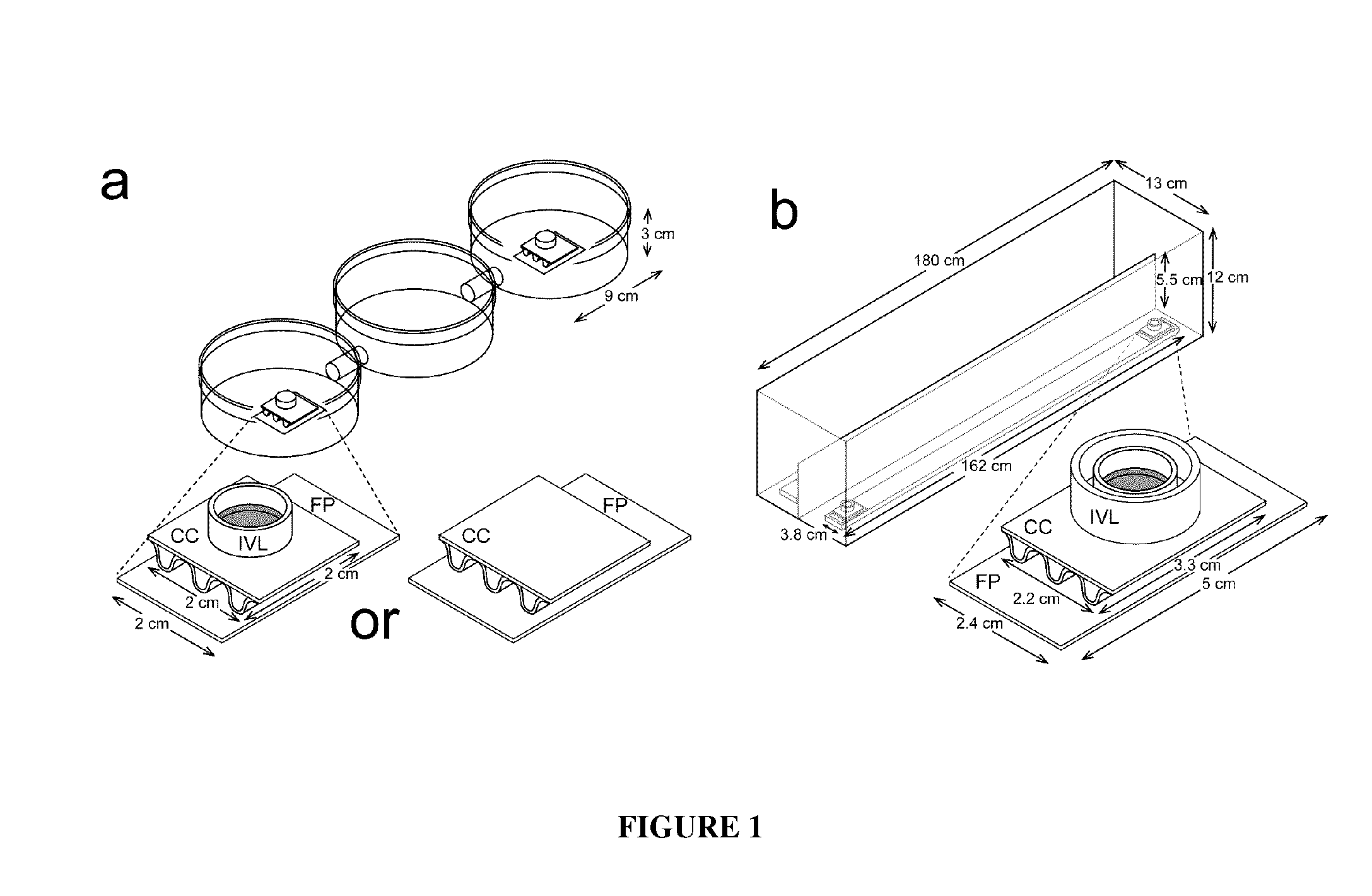 Compounds, Compositions and Methods for Attracting and/or Arresting Bed Bugs