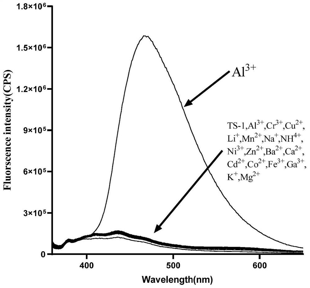 A Class of Cationic Fluorescent Probes Based on Tetraphenylethylene Structure