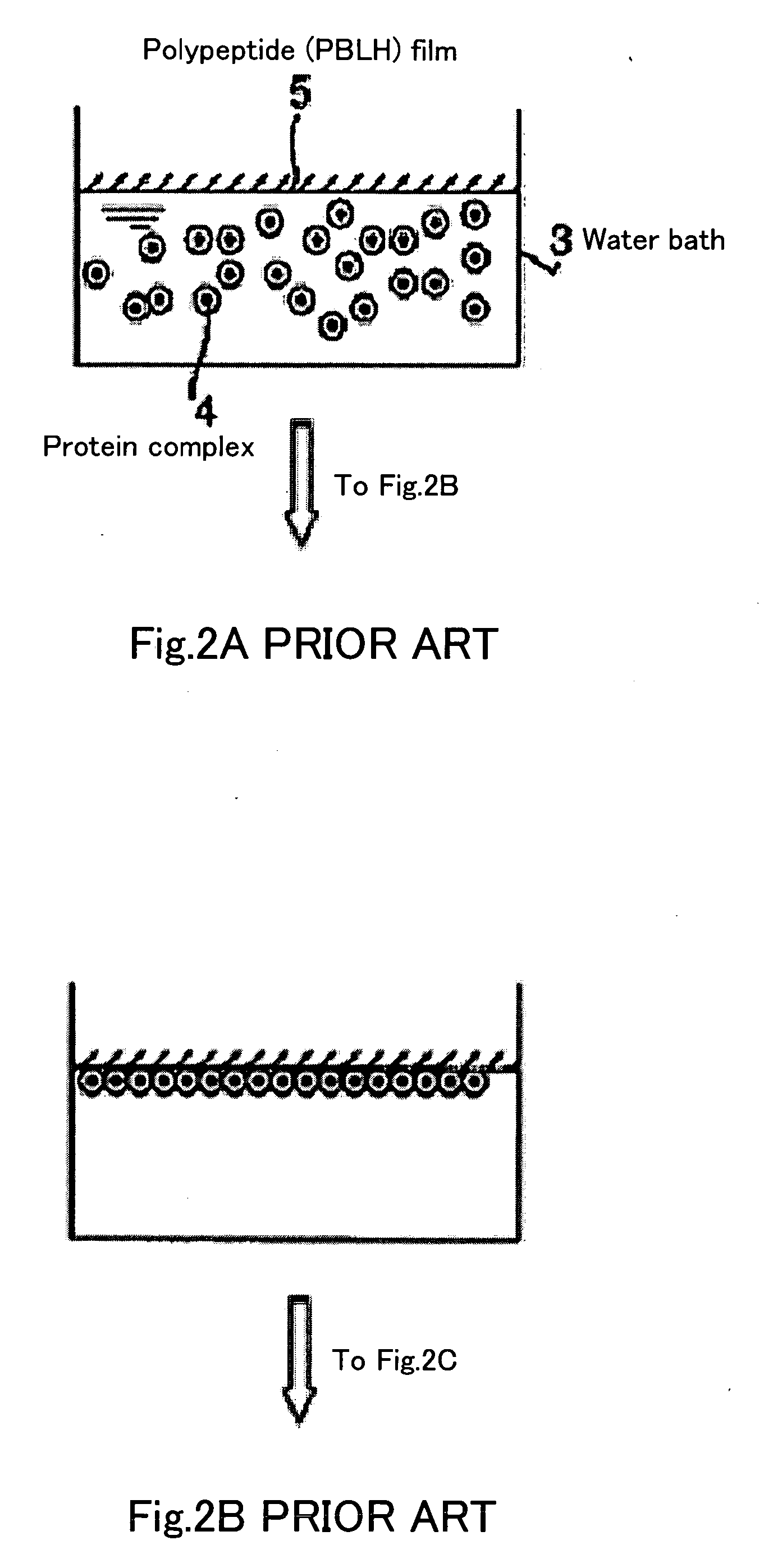 Method of forming fine particle array on substrate and semiconductor element