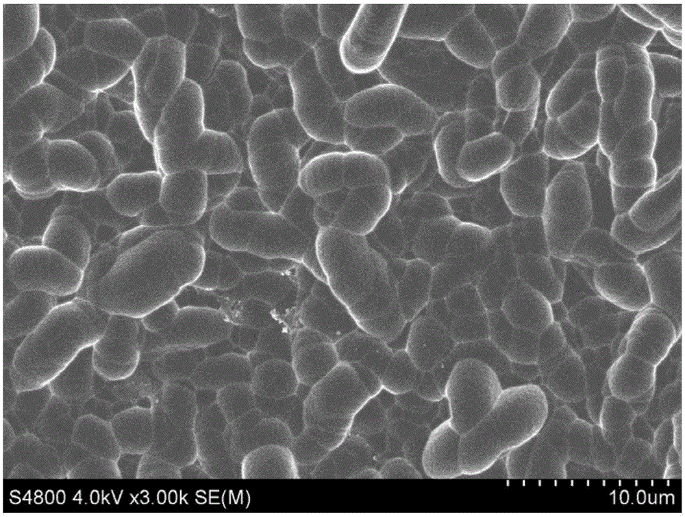 Polycrystalline black silicon texturization treatment fluid, polysilicon chip texturization method applying treatment fluid, and polycrystalline black silicon texturization product