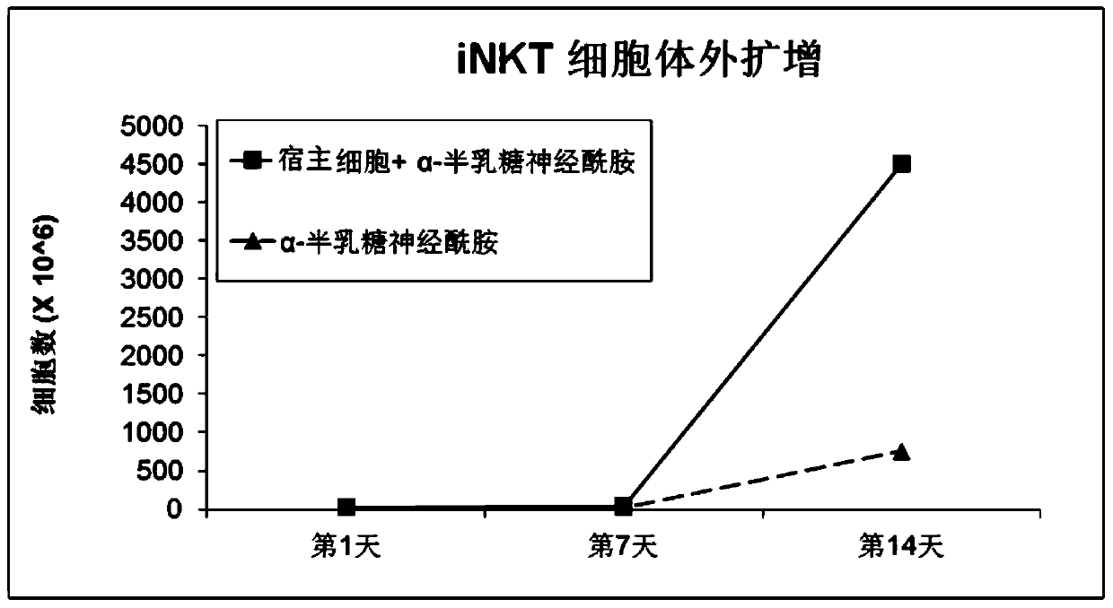 A method for expanding and activating inkt lymphocytes