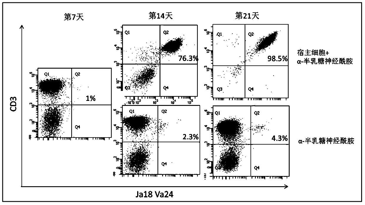 A method for expanding and activating inkt lymphocytes