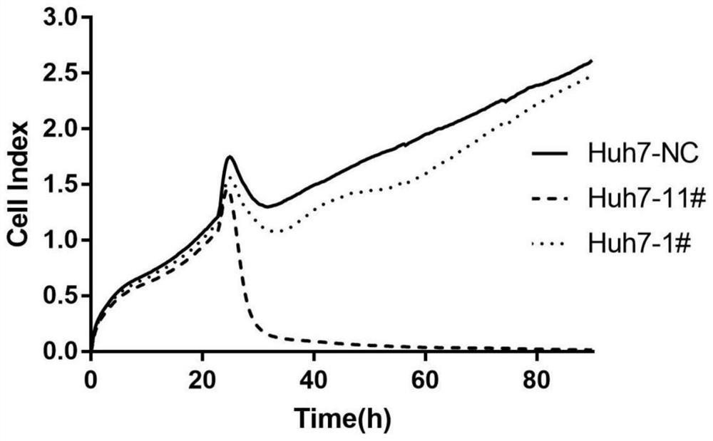 Application of human PCID2 protein in preparation or screening of antitumor drugs and compound with antitumor activity