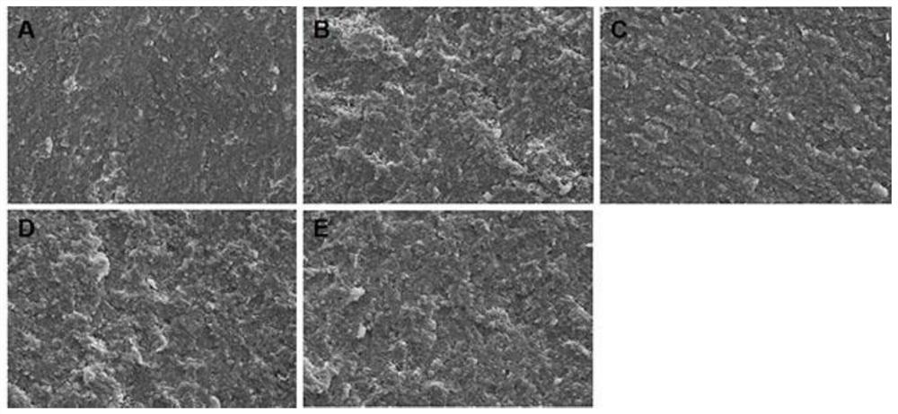 Preparation method and application of Gr/BPA-Si nano hybrid material and fireproof coating
