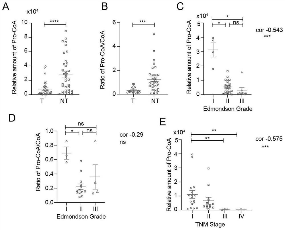 Novel metabolic marker for preparing liver cancer detection reagent and application thereof