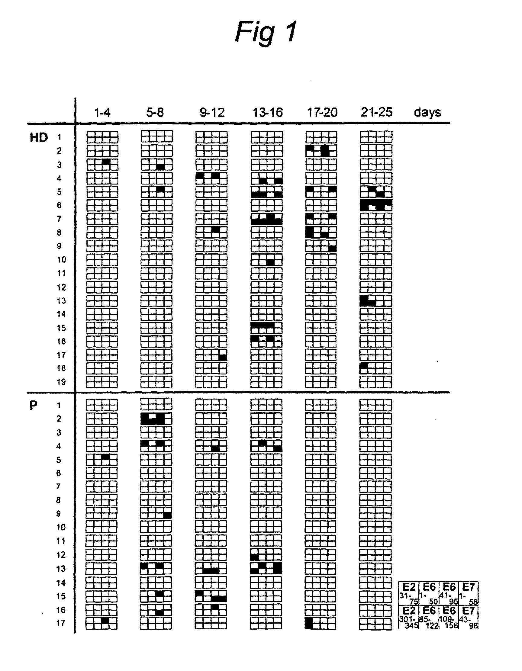 Intradermal HPV peptide vaccination