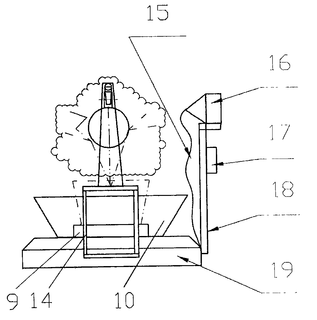 Biological information field conductive apparatus