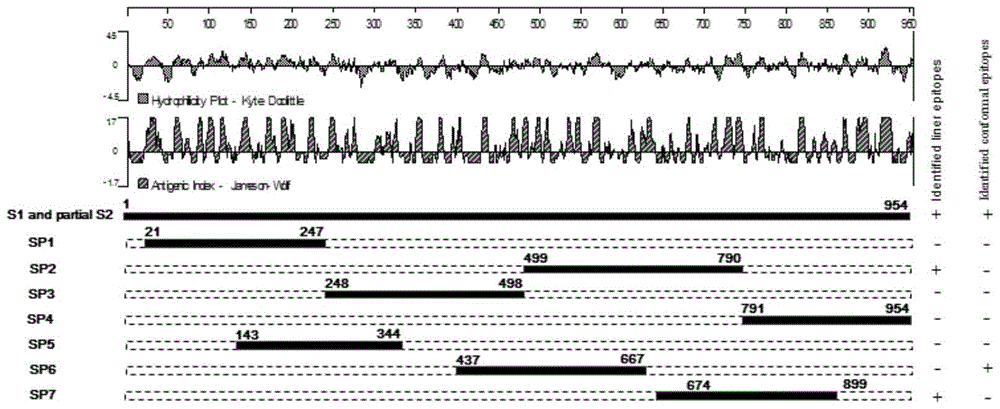 Antigen for detecting porcine epidemic diarrhea virus neutralizing antibody and its preparation method and application