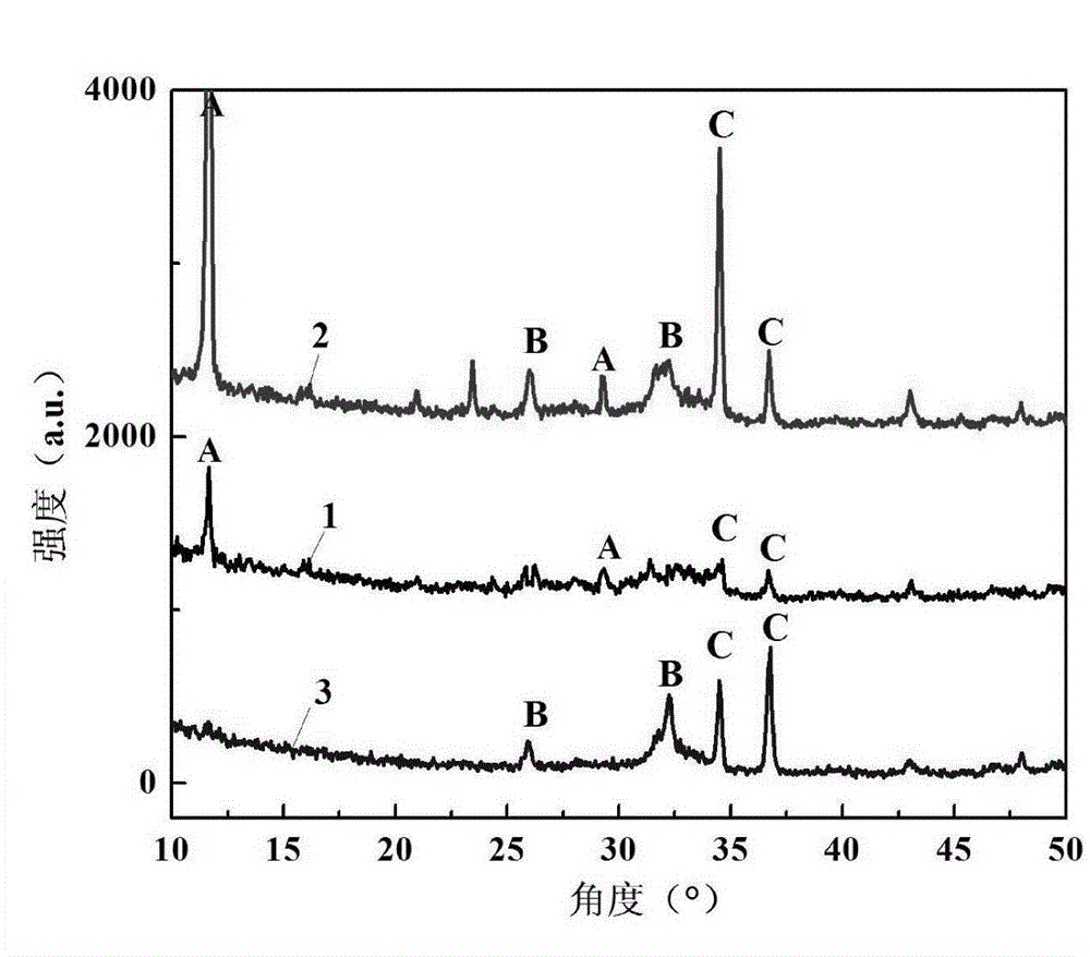 Method for carrying out electrochemical treatment on surface of biomedical magnesium or magnesium alloy with high biological activity and low degradation rate
