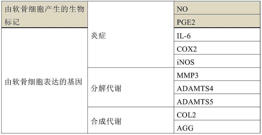 joint care composition