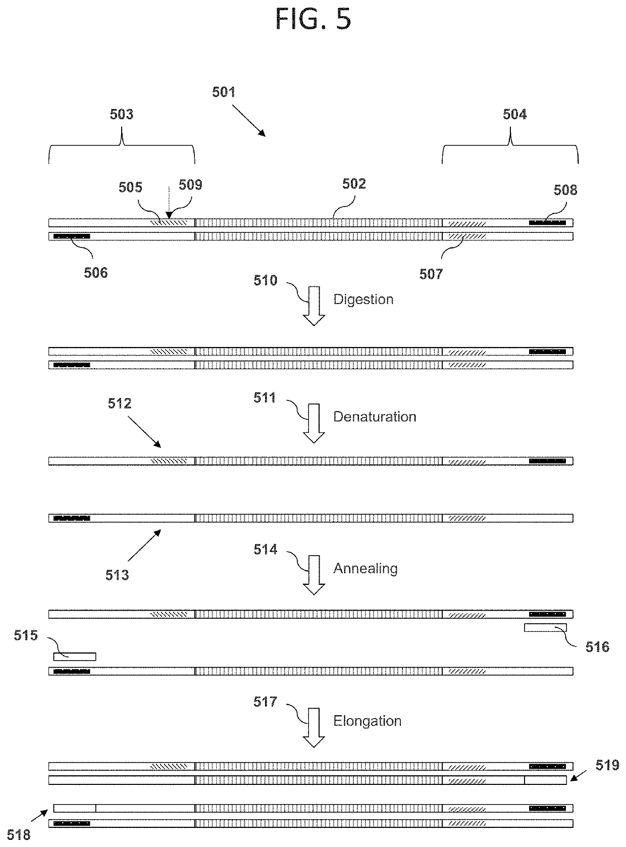 miRNA transcriptome methods and compositions