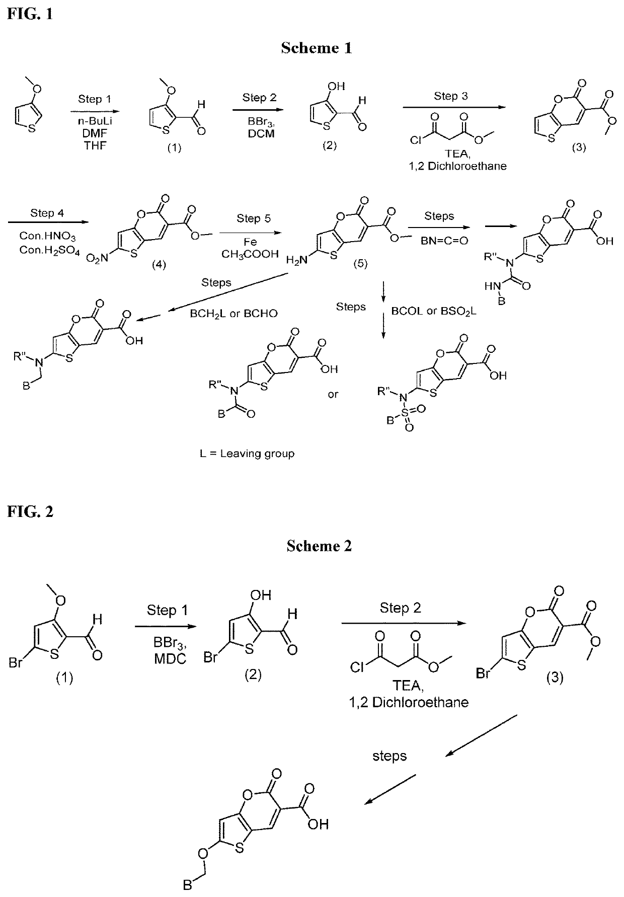 Bicyclic carboxylates as modulators of transporters and uses thereof