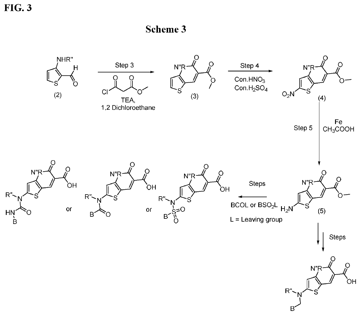 Bicyclic carboxylates as modulators of transporters and uses thereof