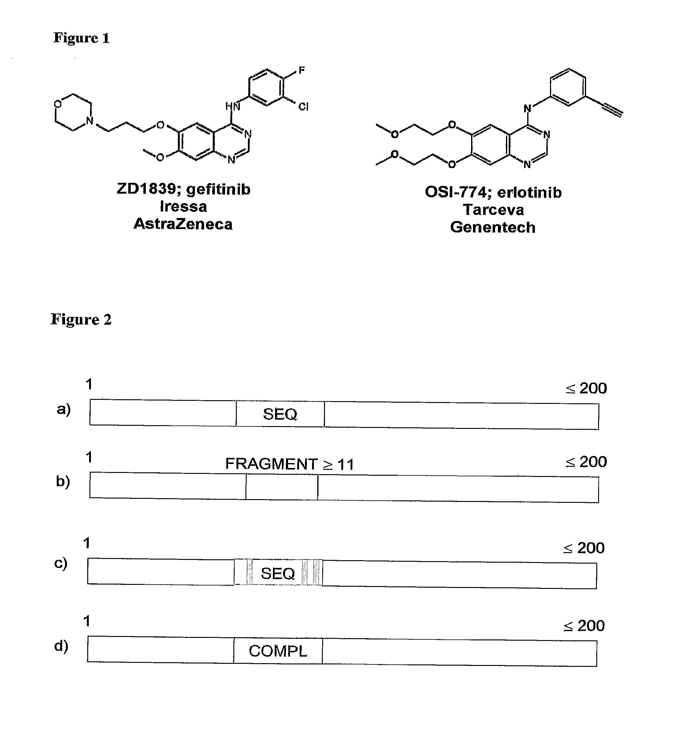 Methods and Compositions for Detecting a Drug Resistant EGFR Mutant