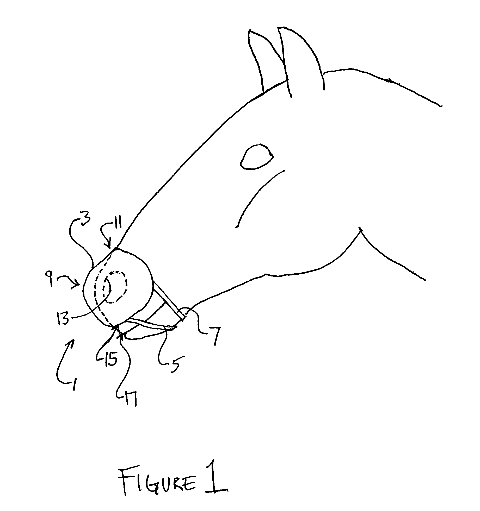 Method and apparatus for filtering air entering an animal's nostrils